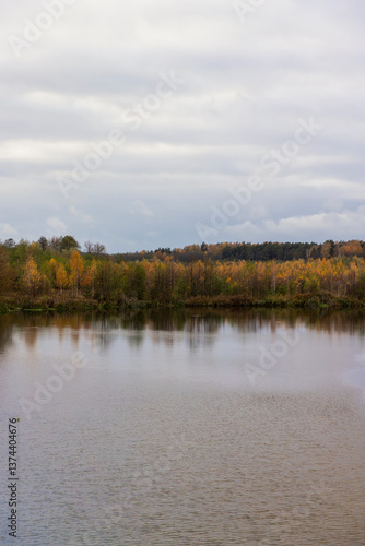 autumn landscape in cloudy weather with a lake and deciduous trees