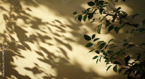 Sunlight Casts Intricate Shadows From a Plant Onto a Warm Wall in a Cozy Indo...