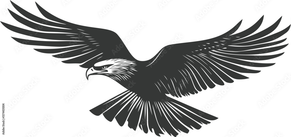 Obraz premium Black and white eagle with outstretched wings in flight illustration. Vector illustration