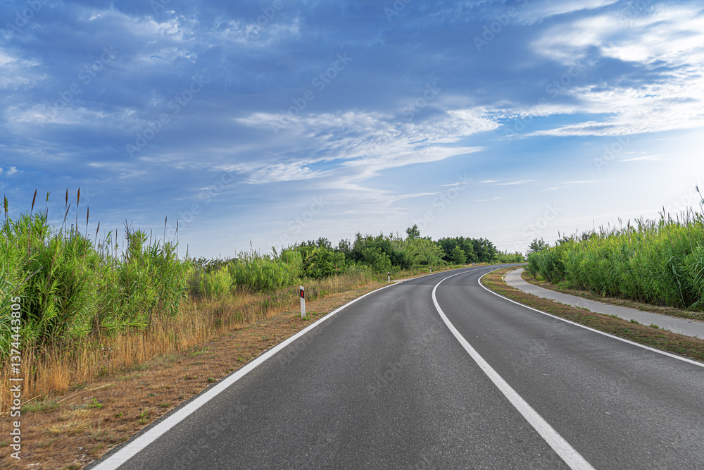 An empty, curved highway stretches through a lush countryside surrounded by tall grass and dense greenery under a vibrant blue sky with scattered clouds, inviting a peaceful journey through nature.