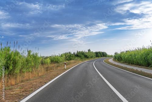 Obraz na płótnie An empty, curved highway stretches through a lush countryside surrounded by tall grass and dense greenery under a vibrant blue sky with scattered clouds, inviting a peaceful journey through nature. w salonie