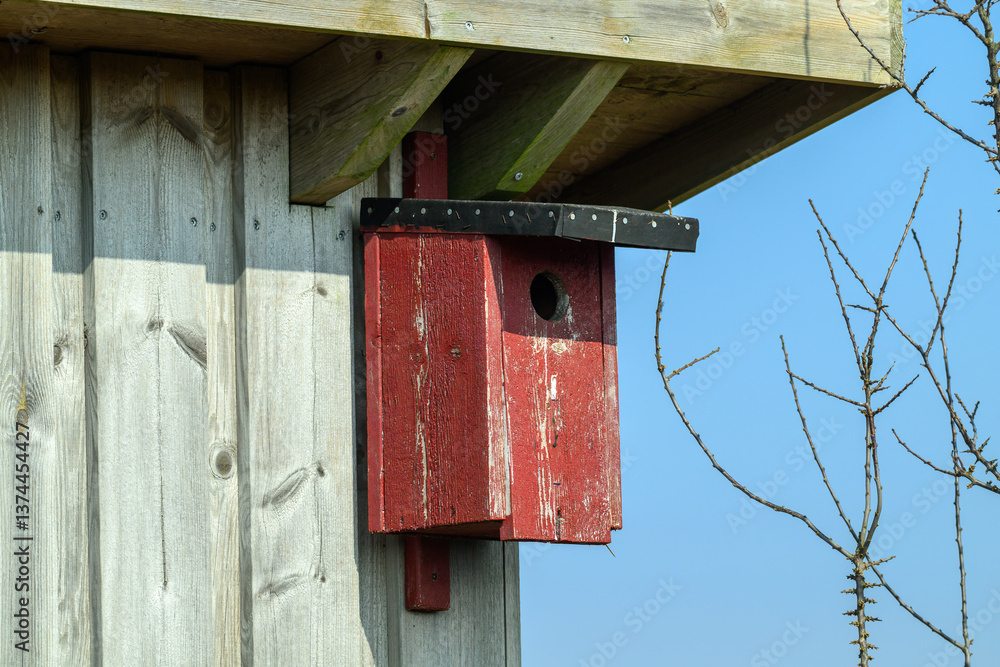 A wooden birdhouse painted in red is attached to a weathered wooden shed. The bright blue sky contrasts sharply with the detailed texture of the wood A wooden birdhouse painted in red is attached to a weathered wooden shed. The bright blue sky contrasts sharply with the detailed texture of the wood