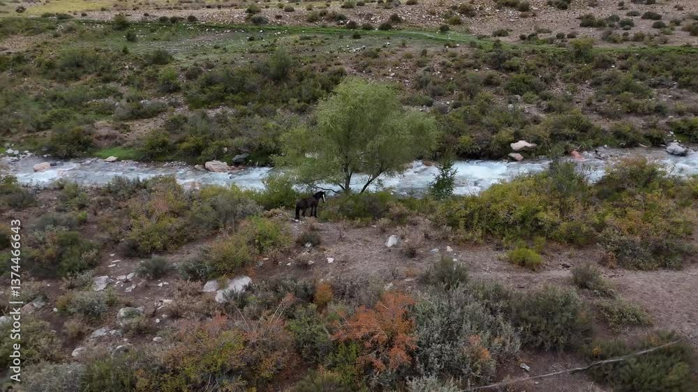 Aerial shot of Andean mountain landscape with river and horse Aerial shot of Andean mountain landscape with river and horse