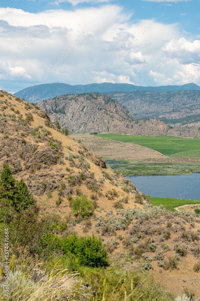 Fototapeta premium Majestic mountains with forest foreground in Vancouver, Canada, North America. Day time on June 2024