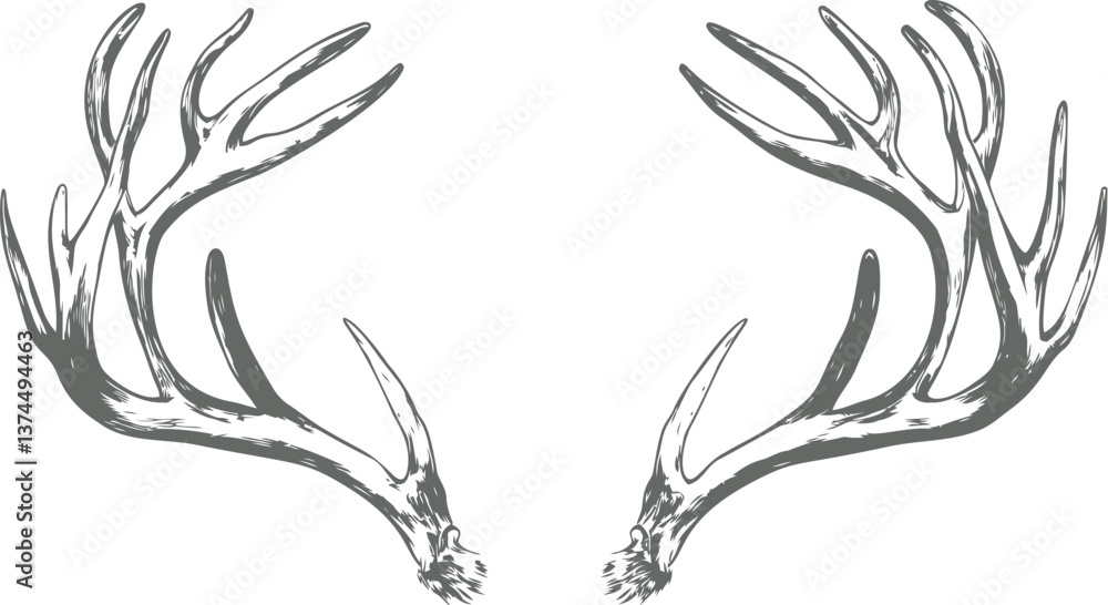 Stylized deer antlers illustration in black Stylized deer antlers illustration in black