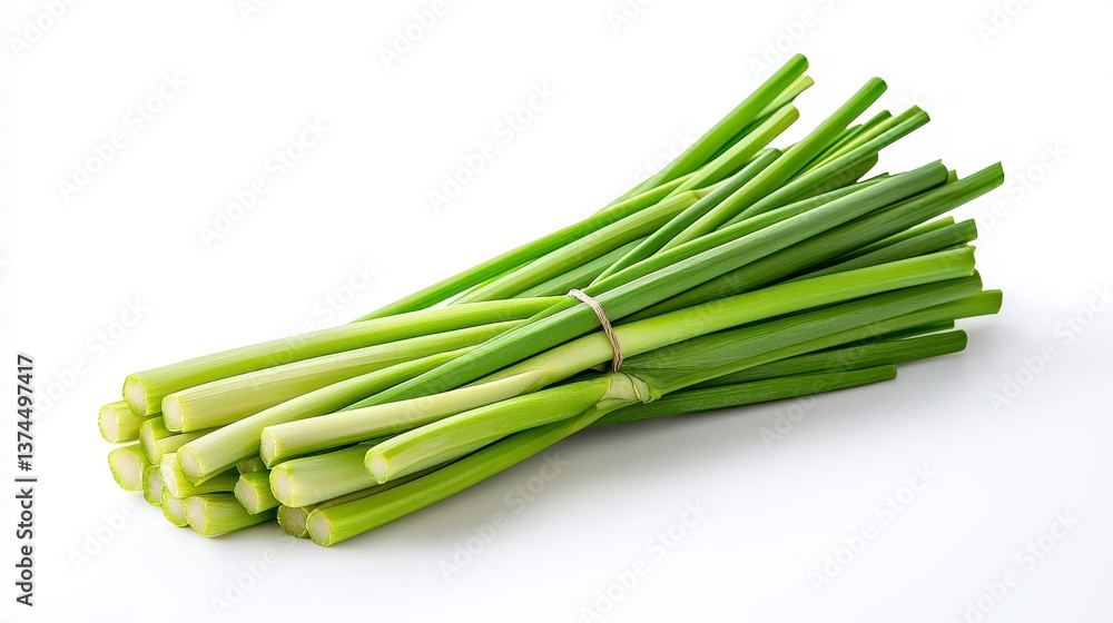 A fresh bunch of green onions isolated on a bright white background emphasizing their crispness and fresh appeal A fresh bunch of green onions isolated on a bright white background emphasizing their crispness and fresh appeal