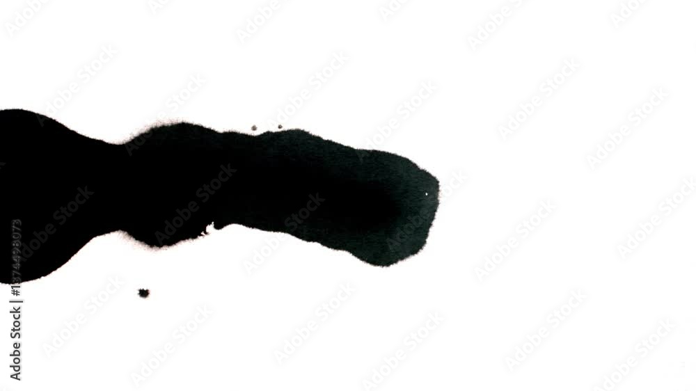 Spraying black paint on a white background. Spray of ink over the white surface. Black watercolor paint spraying. Particles of black paint scatter on white paper. Spraying black paint on a white background. Spray of ink over the white surface. Black watercolor paint spraying. Particles of black paint scatter on white paper.