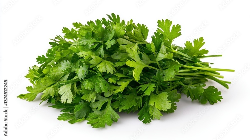 Vibrant bunch of sawtooth coriander leaves displaying freshness and lush greenery in a natural arrangement Vibrant bunch of sawtooth coriander leaves displaying freshness and lush greenery in a natural arrangement