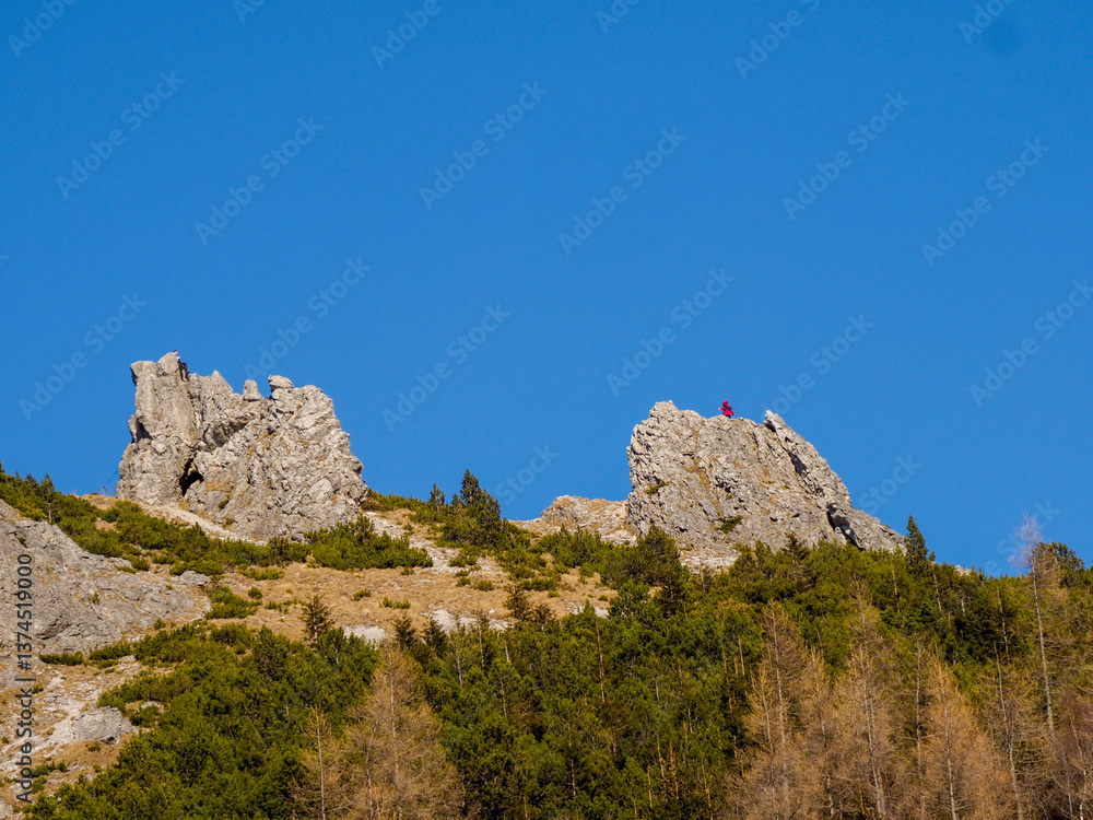 Majestic Rocky Peaks Rising Above Alpine Forest Under Clear Blue Sky in Mountain Wilderness Majestic Rocky Peaks Rising Above Alpine Forest Under Clear Blue Sky in Mountain Wilderness