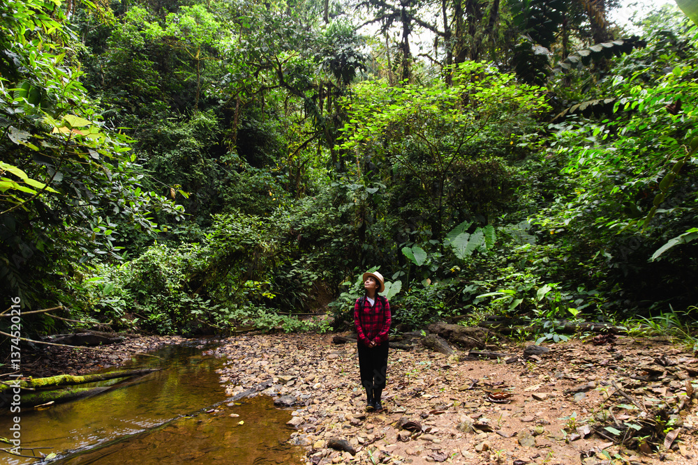 Exploring the tropical Choco Andino rainforest in Ecuador Exploring the tropical Choco Andino rainforest in Ecuador