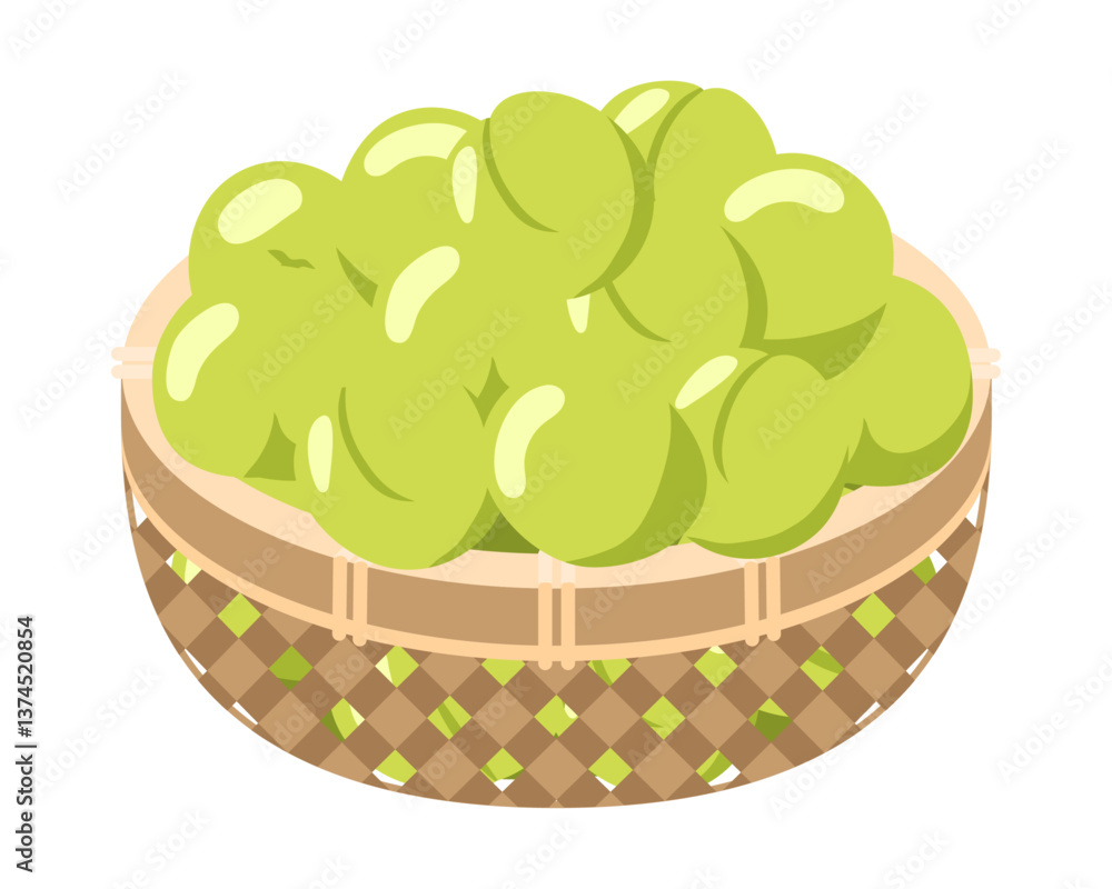 ざるに盛った青梅のイラスト