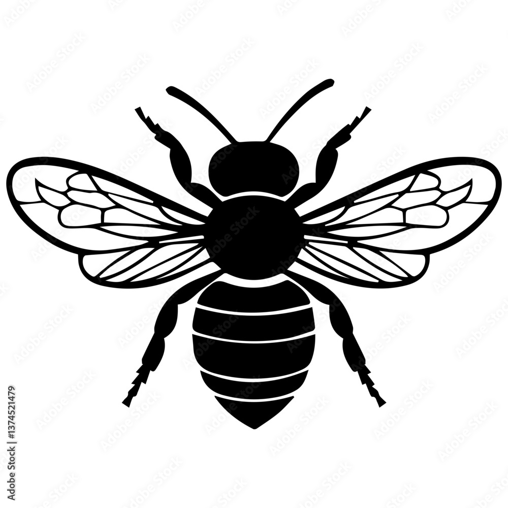 Fototapeta premium Flying Bee Design, Bee Clipart Design, Anthophila isolated, ‎Honey Bee Illustration, Cute Bee Graphics, isolated on white background 