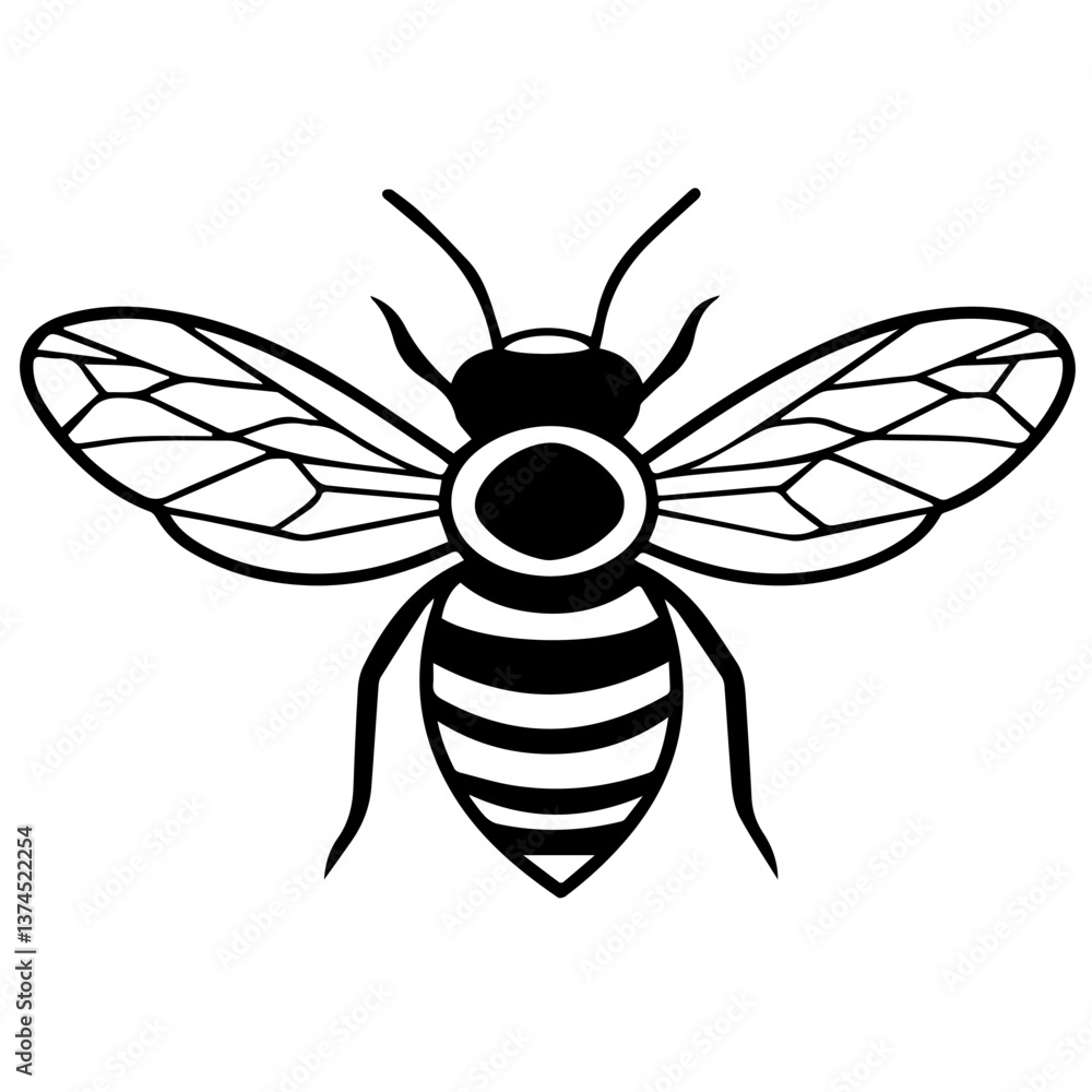 Fototapeta premium Flying Bee Design, Bee Clipart Design, Anthophila isolated, ‎Honey Bee Illustration, Cute Bee Graphics, isolated on white background 