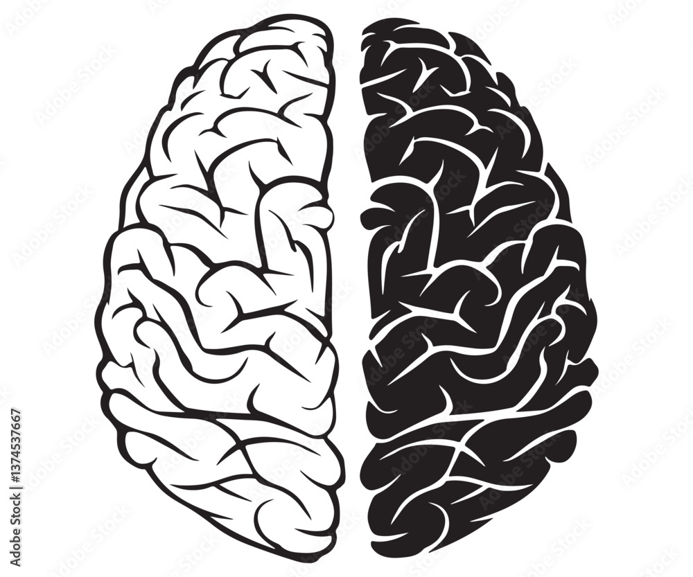 Fototapeta premium Human Brain Illustration Comparison Detailed vs Simplified Designs cliparts.