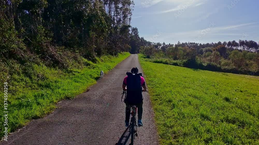  A boy rides his bike with his dog at sunset, cruising along a tree-lined road, capturing the beauty of nature and companionship