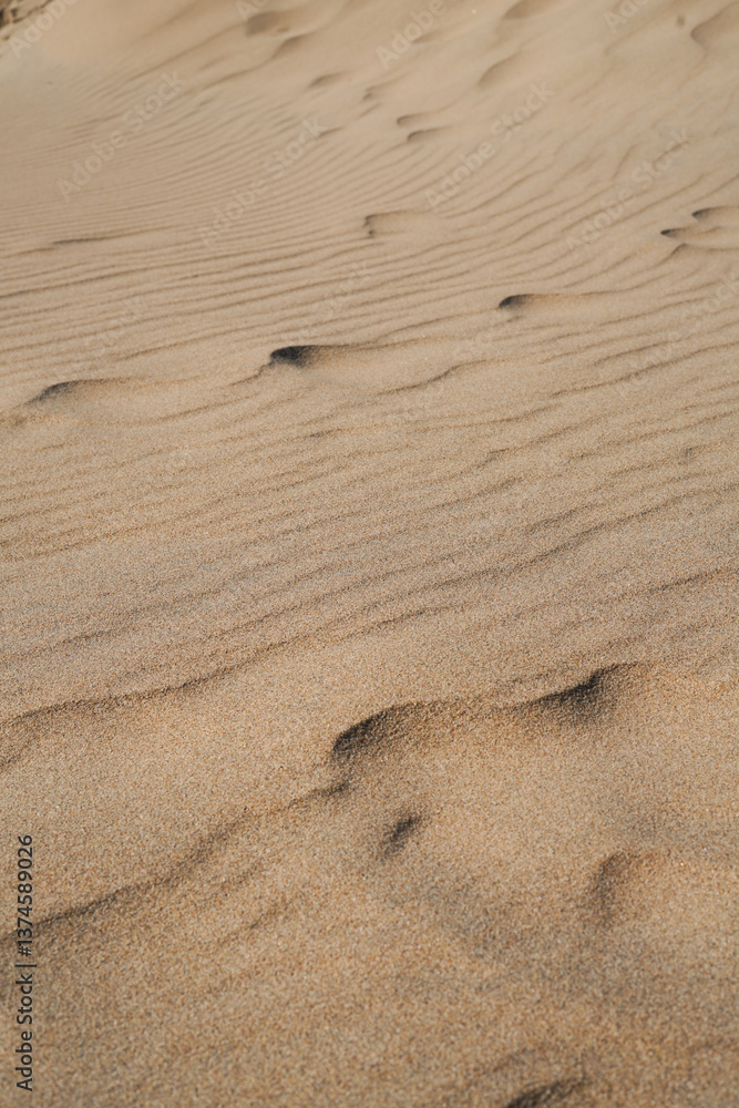 Sund Dunes, Summer, Travel, Blue sky. Portugal Sund Dunes, Summer, Travel, Blue sky. Portugal