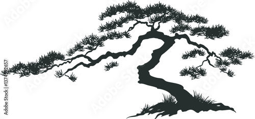 Silhouette of a bonsai tree with spreading