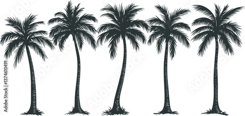 Five black palm tree silhouettes 