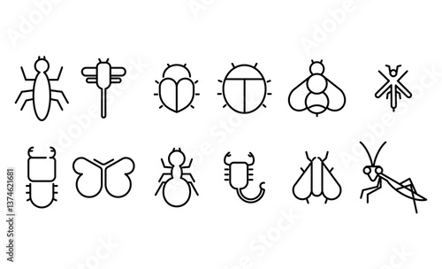 Insect, bug, insect icons. Concept save insects or nature. Icons for web pages - praying mantis, butterfly, scorpion, dragonfly, ant, bee, fly.

