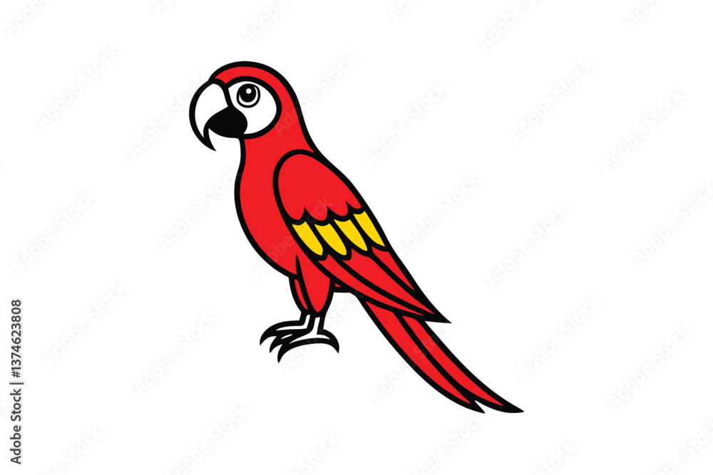 Fototapeta premium parrot on white background