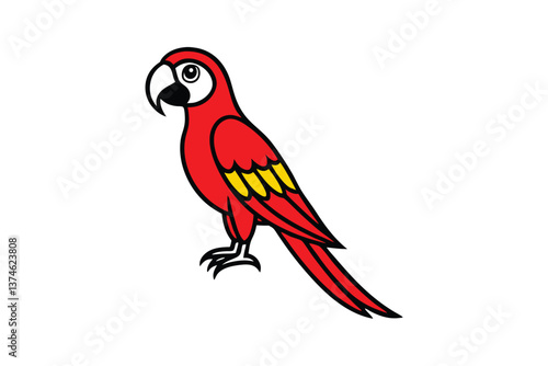 parrot on white background