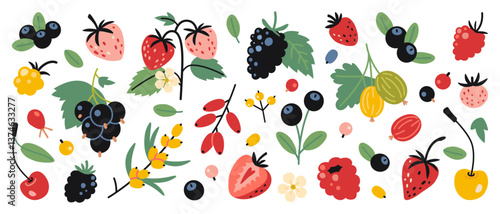 Set of berries like raspberry, strawberry, gooseberry, cherry, cloudberry, currant, blueberry and barberry. Trendy modern vector illustration isolated on white background, hand drawn, flat design