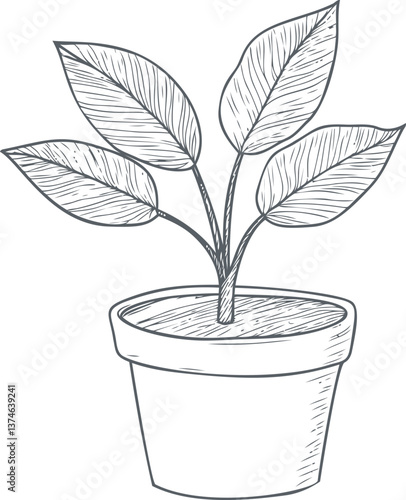Potted plant illustration with detailed leaves and simple black and white style. Vector illustration