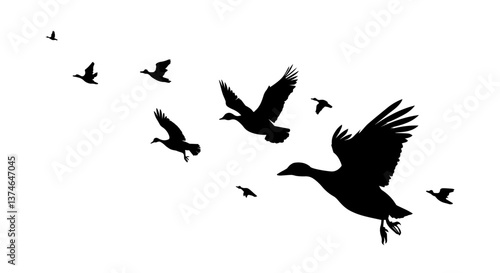 A flock of ducks flying. hand drawing. Not AI. Vector illustration