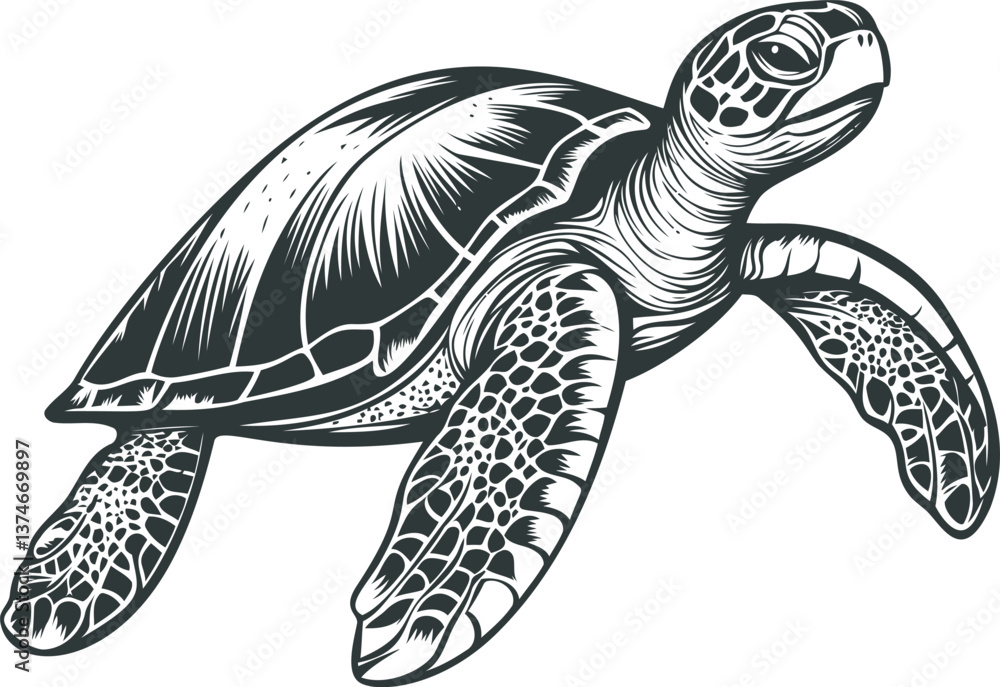 Fototapeta premium Sea turtle illustration in black and white