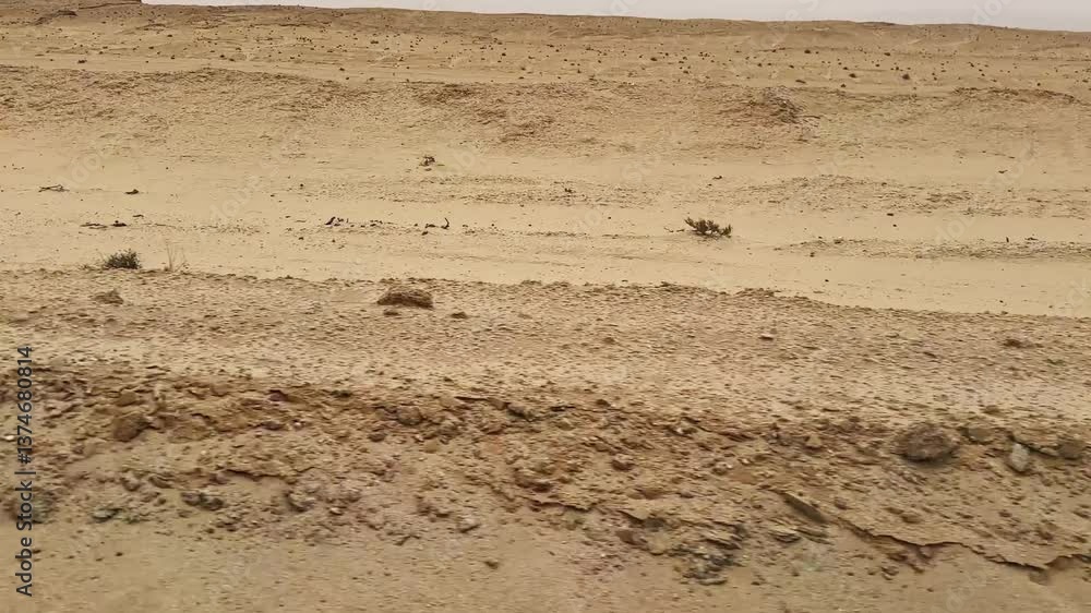 Fast sport rally race drive with expansive View of Barren Sandy Landscape in the Sahara Desert Fast sport rally race drive with expansive View of Barren Sandy Landscape in the Sahara Desert