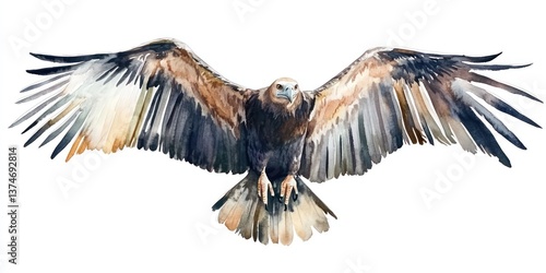 a majestic eagle soaring with its wings spread wide, creating a dramatic image watercolor illustration