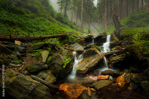 Vysoký vodopád. Beautiful misty waterfall after rain in Jeseníky mountains. Epic river, green forest, stones, rocks, flowers, leaves. Premium landscape from pure nature, Czech Republic