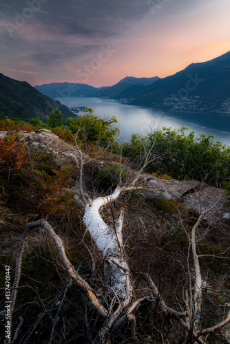 Lago di Como, Lake Como. Beautiful sunset with clouds in Alps mountains. Epic blue lake near Milan, mountain, villa, forest, colorful flowers. Premium landscape from pure nature, Lombardy, Italy