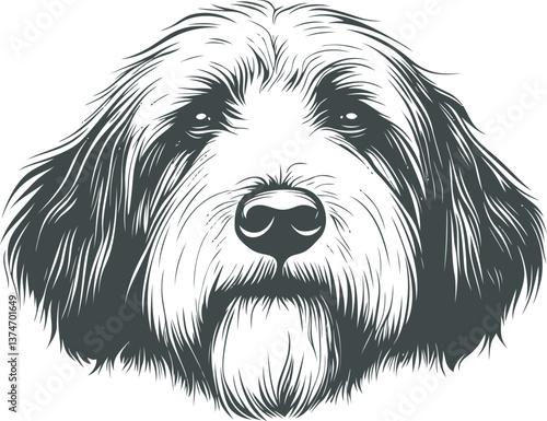 Shaggy dog portrait illustration in black