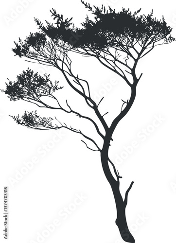 Wallpaper Mural Silhouette of a tree with detailed branches and leaves, showcasing a minimalist artistic design. Torontodigital.ca