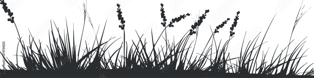 Fototapeta premium Silhouette of wild grass and plants against a white background, creating a natural vector illustration.