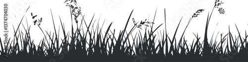 Silhouette of wild grass blades against a white background, creating a natural border design.