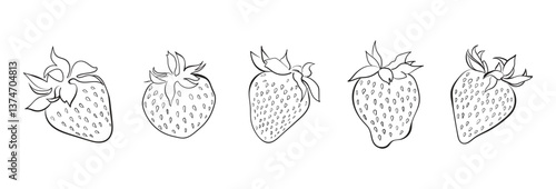 Strawberry berry hand drawn, isolated on white background. Set of summer vector berries. For stickers, packaging, juice, design.