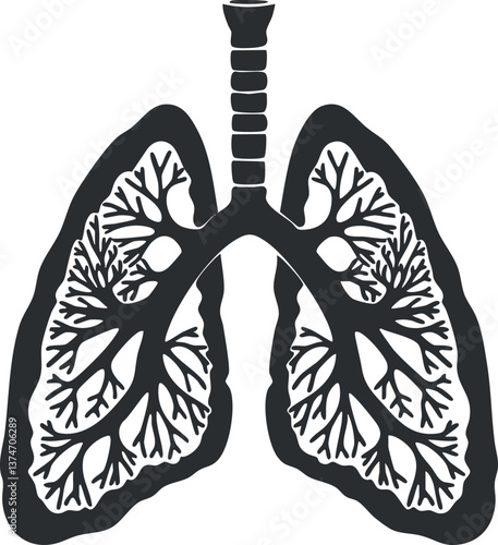 Illustration of human lungs with detailed bronchi and alveoli, depicting respiratory system anatomy.