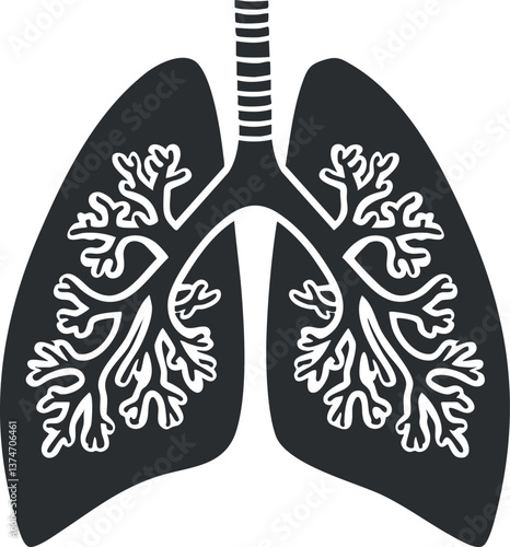 Black and white illustration of human lungs showing bronchi and alveoli for educational purposes.