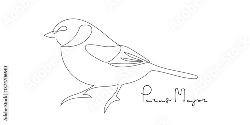 Bird line drawing. Titmouse, little bird with inscription in Latin Parus Major. One continuous line drawing bird, Hand Drawn Cute Bird mascot Vector icon. Design for sketch, logo, banner, logotype.
