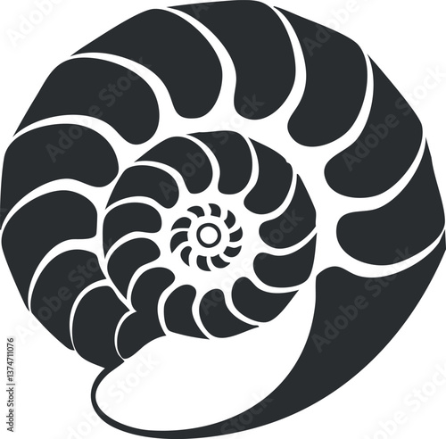 Black and white abstract nautilus shell design with spiral pattern and symmetrical curves.