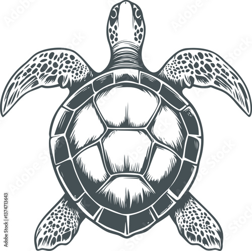 Sea turtle illustration with detailed shell