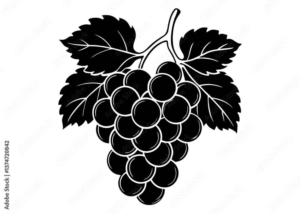Obraz premium Ripe bunch of purple grapes on a vine with green leaves and a fresh, autumn feel