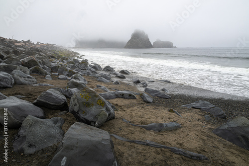 Obraz na płótnie Rialto Beach in Summer, Olympic National Park, WA w salonie