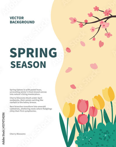 Spring Season Vector Background with Cherry Blossoms, Tulips and Poetic Description