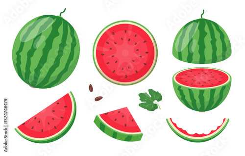 Watermelon fruits icons. Whole watermelon, cut and pieces, leaf and seeds. Organic fruit for juice, smoothie or vitamin healthy food. Vector illustration isolated on white background.