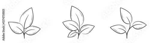 Plants with leaves line illustrations. Nature, spring and planting design elements. Isolated vector images