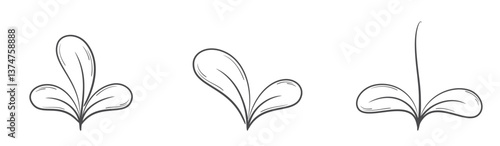 Plant sprout with rounded leaves line illustrations. Growing, seedling and planting design elements. Isolated vector images