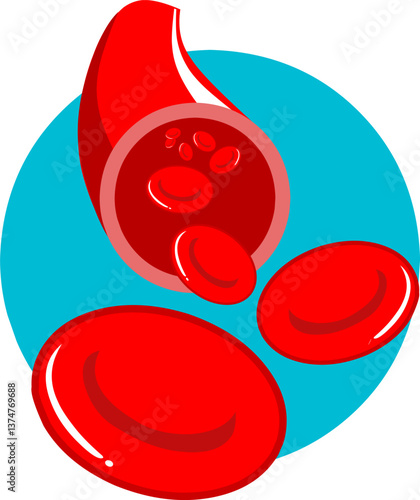 an illustration of a cross-section of a blood vessel with red blood cells or erythrocytes flowing through it. The erythrocytes appear scattered and their shape is clearly depicted. behind it is a blue
